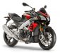 TUONO V4 1100 RR e4 2017 (EMEA) (EU)