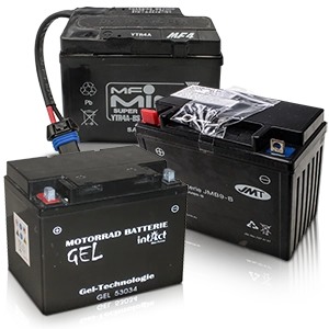 AGM/Gel batteries