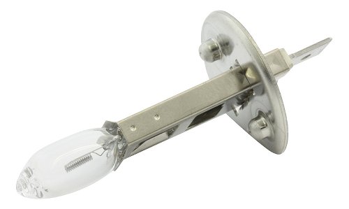 Ducati Glühlampe 12V, 55W H1 Halogen - 748, 916, 996, 998,