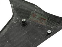 Cubre radiador Carbonworld, carbono apto para Ducati