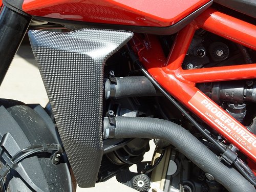 Cubre radiador Carbonworld, carbono apto para Ducati