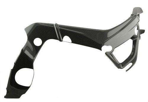 Protector de cuadro de carbono Carbonworld adecuado para BMW