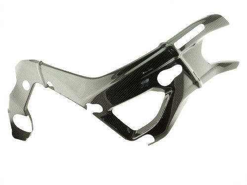 Protector de cuadro de carbono Carbonworld adecuado para BMW