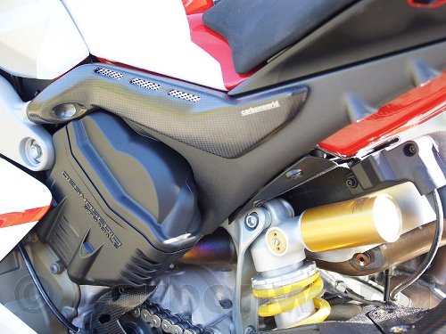 Fianchetti Carbonworld, in carbonio, adatti per Ducati