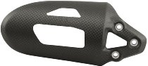Carbonworld Federbeinabdeckung, Carbon geeignet für Ducati
