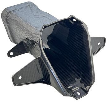 Carbonworld Ram Air, carbonio adatto per BMW M 1000 RR