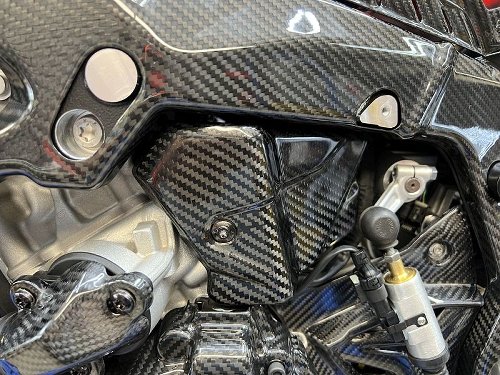 Carbonworld cable cover, carbon suitable for BMW S / M 1000