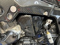 Carbonworld cable cover, carbon suitable for BMW S / M 1000