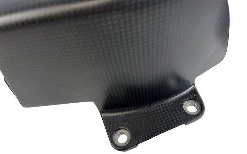 Alette Carbonworld, in carbonio per Ducati Multistrada V4