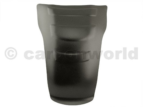 Carbonworld Tankpad Carbon suitable for Ducati Panigale /