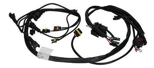 Moto Guzzi Injection wiring - 1100 V11 Café Sport, Ballabio,