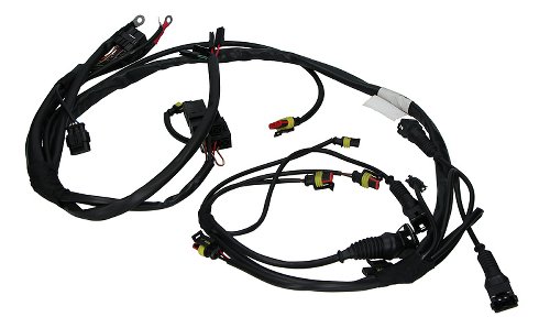 Moto Guzzi Injection wiring - 1100 V11 Café Sport, Ballabio,