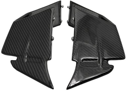 Carbonworld Alette in carbonio per BMW S 1000 RR