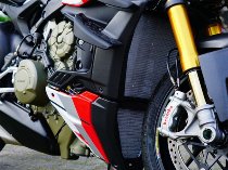 Carbonworld radiator covers, top, carbon suitable for Ducati