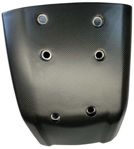 Carbonworld engine guard, carbon suitable for Ducati 698
