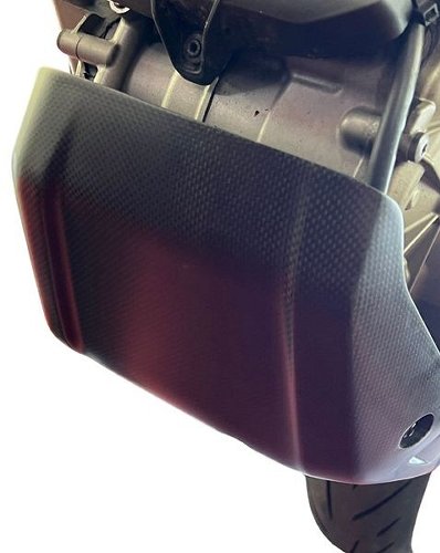 Carbonworld engine guard, carbon suitable for Ducati 698