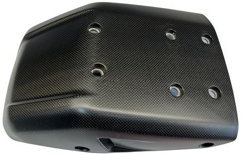 Carbonworld engine guard, carbon suitable for Ducati 698