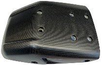 Carbonworld engine guard, carbon suitable for Ducati 698