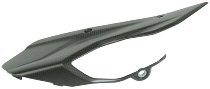 Carbonworld chain guard, front, carbon suitable for Ducati