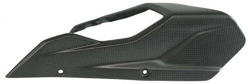 Carbonworld chain guard, front, carbon suitable for Ducati
