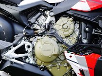 Carbonworld tank holder, carbon suitable for Ducati