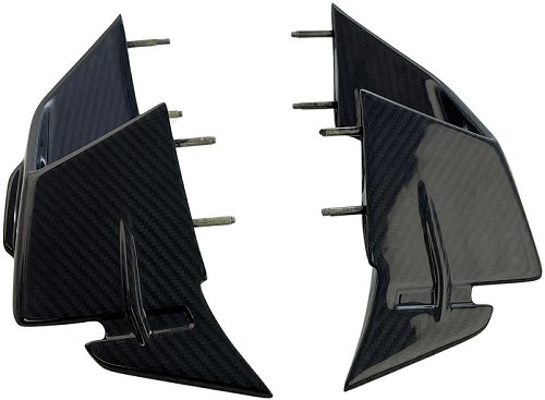Carbonworld Winglets, carbon fiber suitable for BMW S 1000