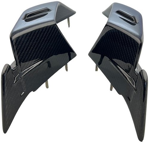 Carbonworld Winglets, carbon fiber suitable for BMW S 1000