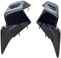 Carbonworld Winglets, carbon fiber suitable for BMW S 1000