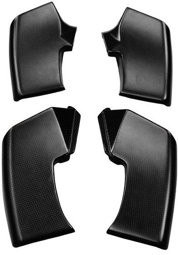 Carbonworld Winglets Carbon suitable for Ducati