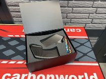 Carbonworld Winglets Carbon suitable for Ducati