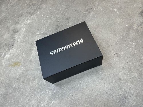 Carbonworld Winglets Carbon suitable for Ducati