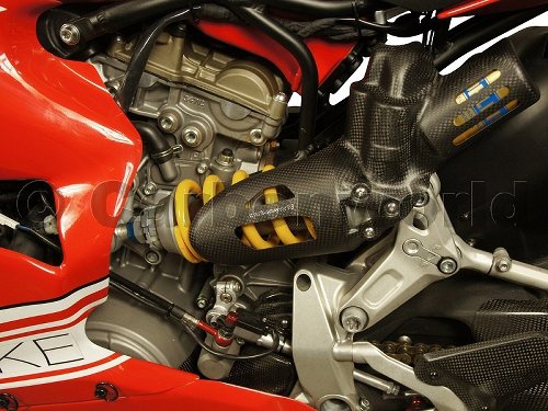 Carbonworld strut guard Corse, carbon, matt suitable for