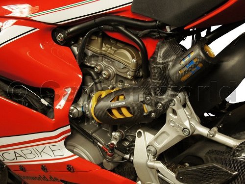 Carbonworld strut guard Corse, carbon, matt suitable for