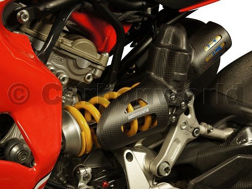 Carbonworld strut guard Corse, carbon, matt suitable for