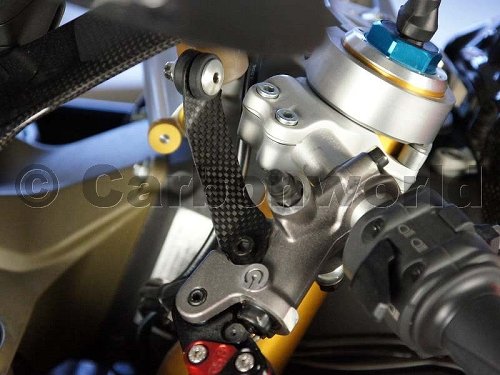 Carbonworld Behälterhalter, Carbon, matt geeignet für Ducati