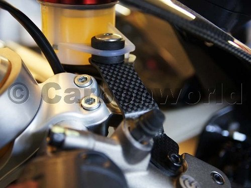 Carbonworld Behälterhalter, Carbon, matt geeignet für Ducati