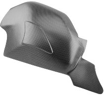 Carbonworld swingarm guard, carbon suitable for Ducati