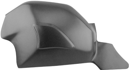 Carbonworld swingarm guard, carbon suitable for Ducati
