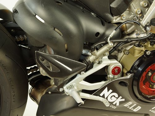 Carbonworld heel protection, performance, carbon suitable