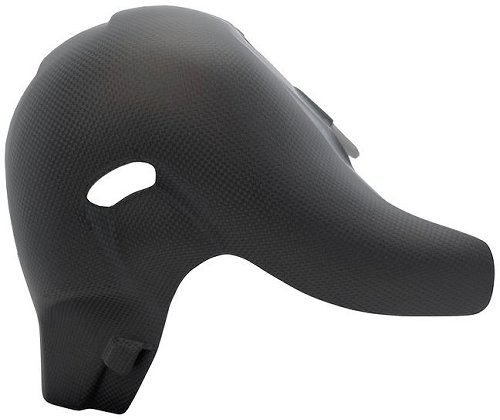Protezione termica Carbonworld, Euro5, carbonio adatto per