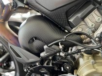 Protezione termica Carbonworld, Euro5, carbonio adatto per