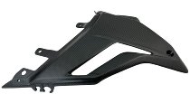 Carbonworld nose fairing, carbon suitable for Ducati