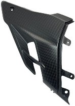 Carbonworld nose fairing, carbon suitable for Ducati