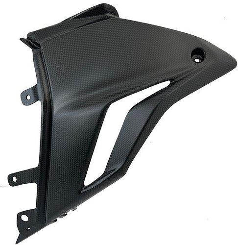 Carbonworld nose fairing, carbon suitable for Ducati