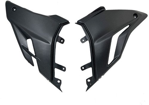 Carbonworld nose fairing, carbon suitable for Ducati