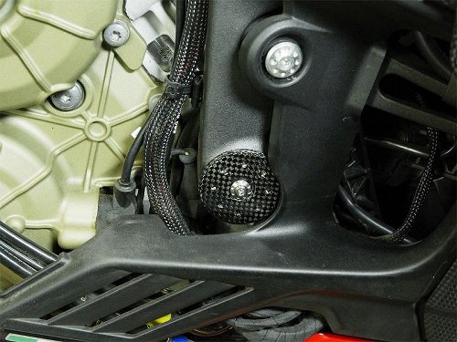 Carbonworld Rahmenstopfen, vorn, Carbon, glänzend geeignet