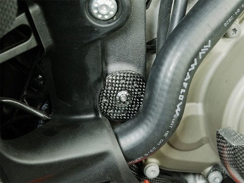 Carbonworld Rahmenstopfen, vorn, Carbon, glänzend geeignet
