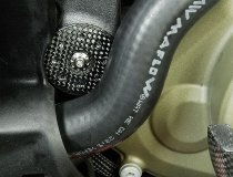 Carbonworld Rahmenstopfen, vorn, Carbon, glänzend geeignet