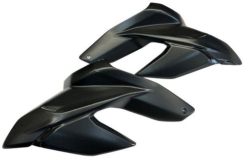 Carbonworld upper side fairing carbon suitable for Ducati