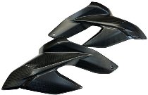 Carbonworld upper side fairing carbon suitable for Ducati